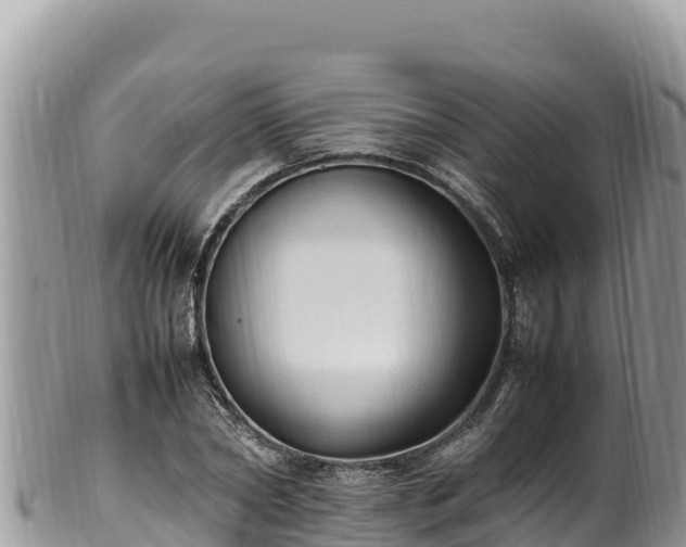 X0000102250782200808011310