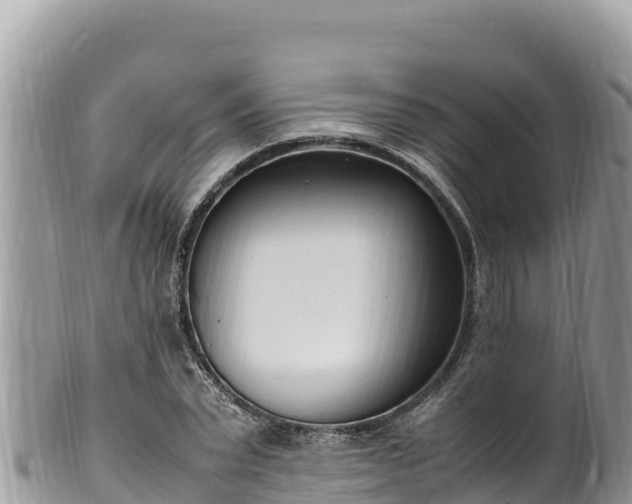 X0000102250783200808011310