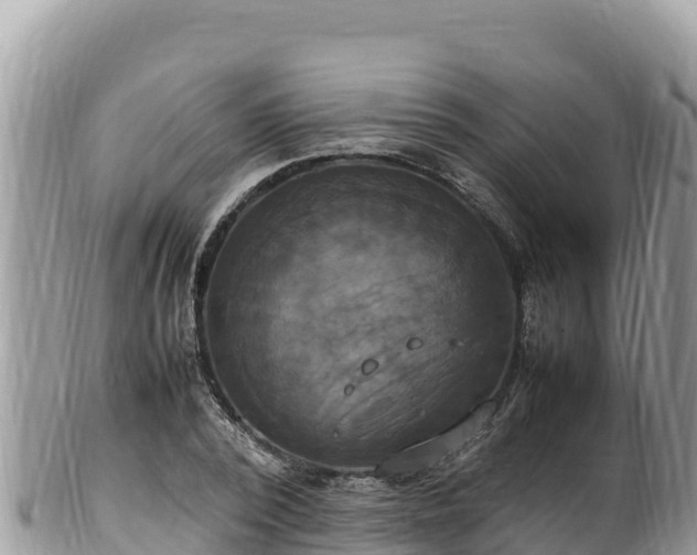 X0000102250784200808011309