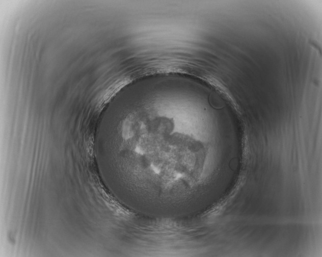 X0000102250785200808011309