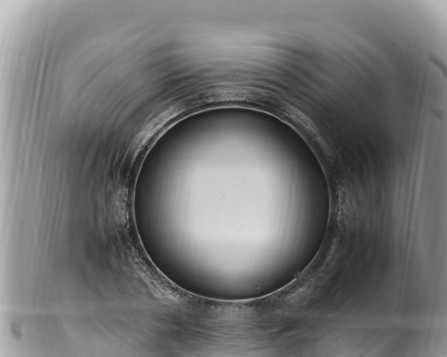 X0000102250786200808011309