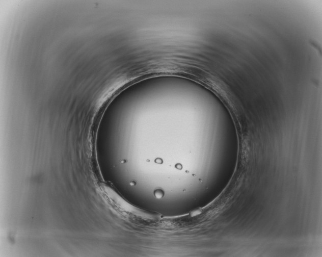 X0000102250787200808011309