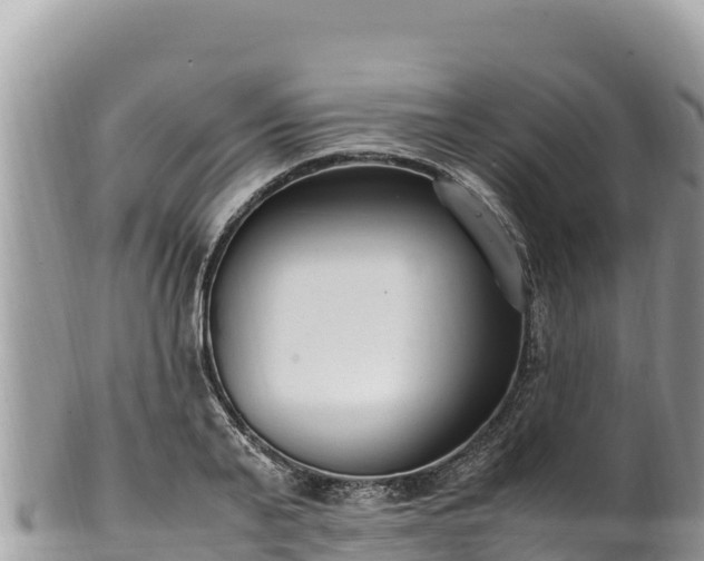 X0000102250791200808011309