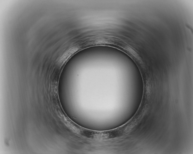 X0000102250793200808011309