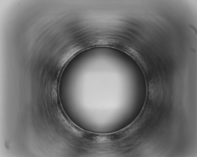 X0000102250794200808011309