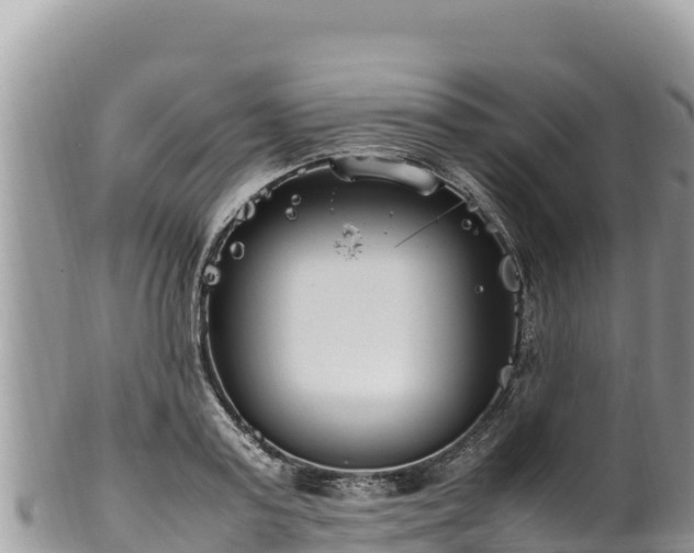 X0000102250795200808011309