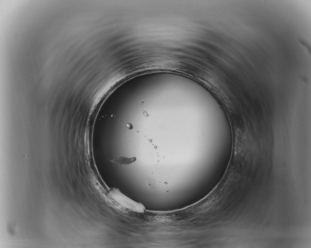 X0000102250796200808011309