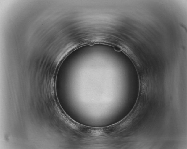 X0000102250798200808011309