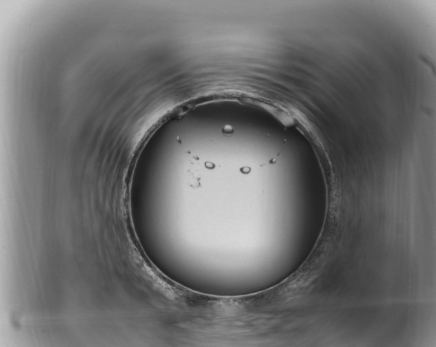 X0000102250799200808011309