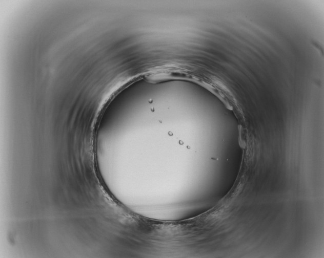 X0000102250800200808011309