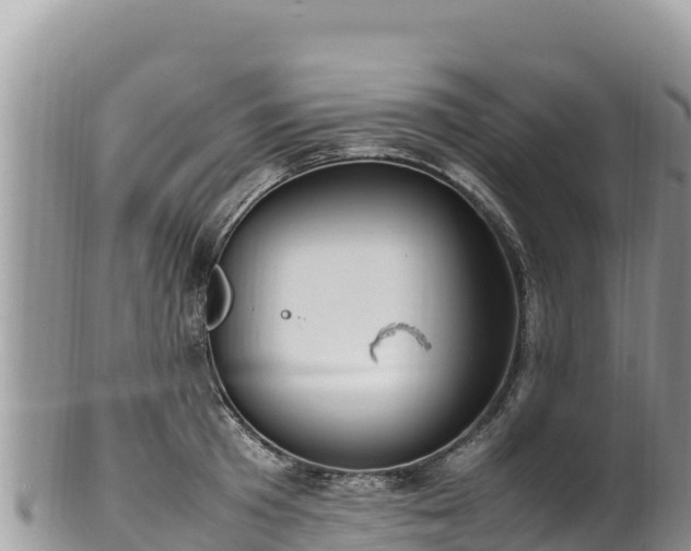 X0000102250801200808011309