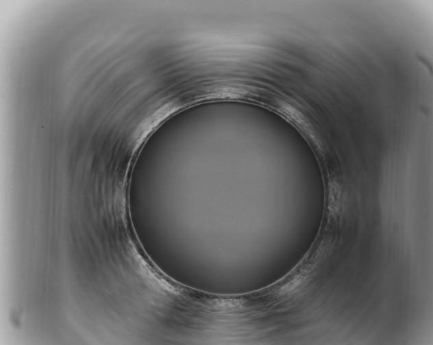 X0000102250802200808011309