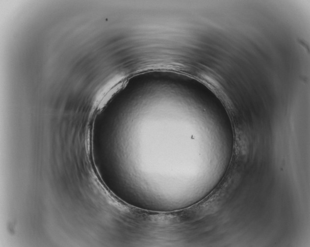 X0000102250804200808011309