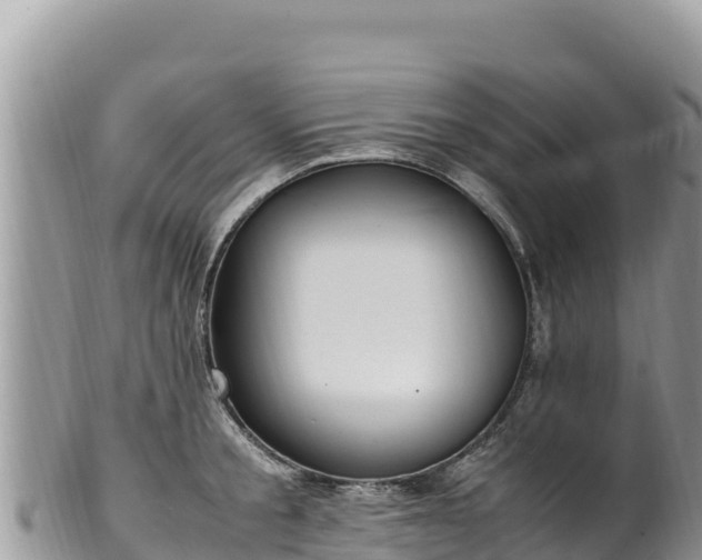 X0000102250805200808011309