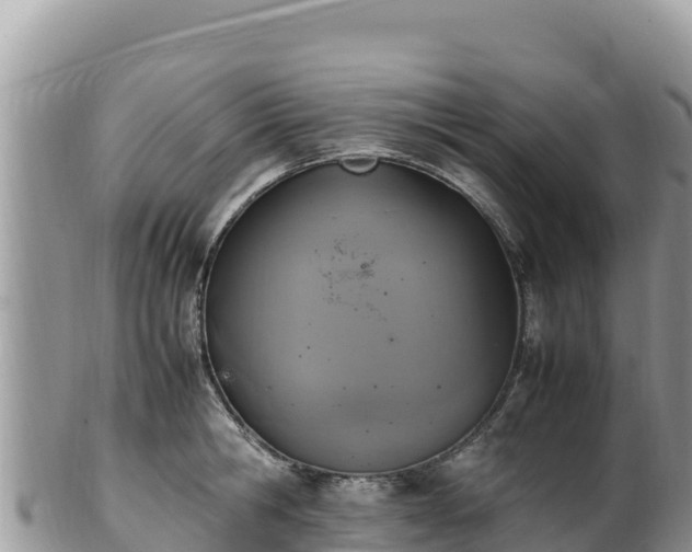 X0000102250806200808011309