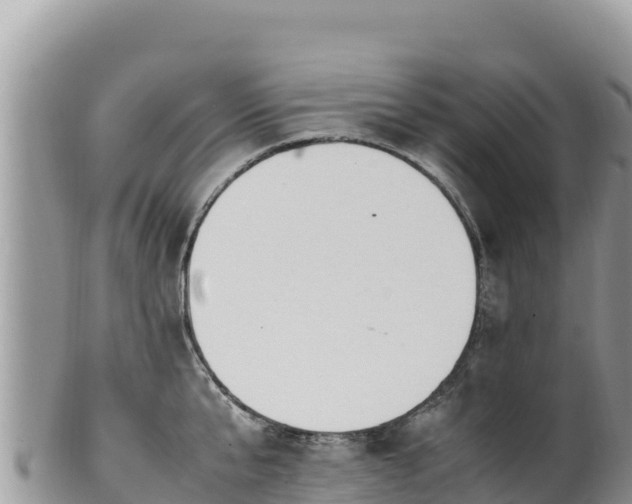 X0000102250807200808011309