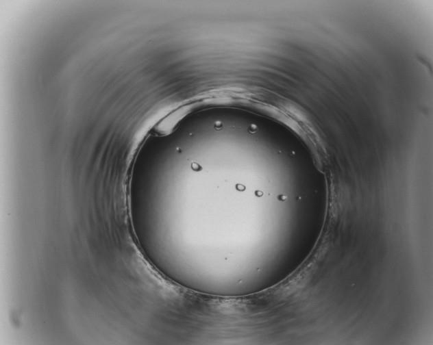 X0000102250808200808011309