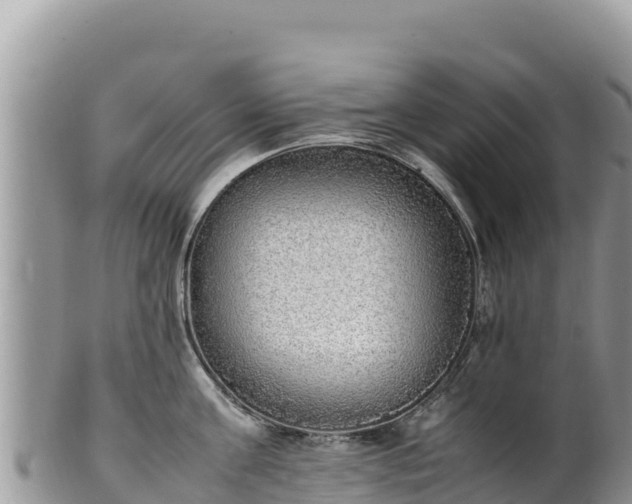 X0000102250811200808011309