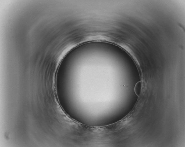 X0000102250815200808011309