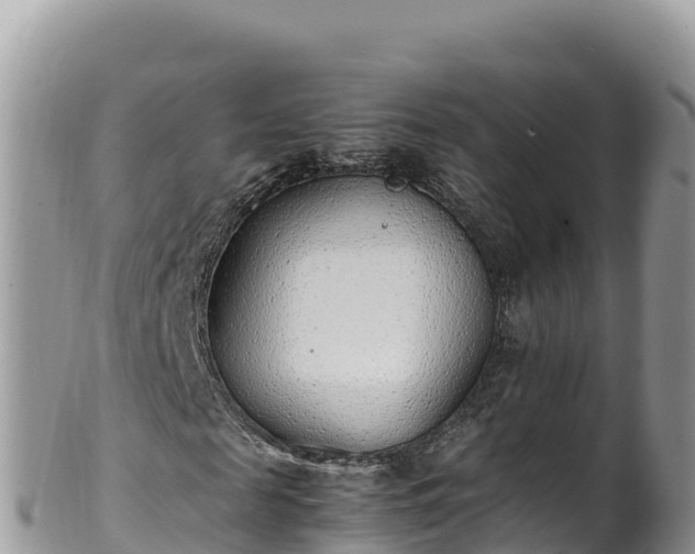 X0000102250817200808011308