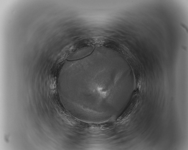 X0000102250818200808011308