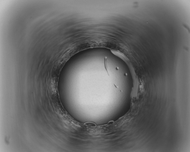 X0000102250819200808011308