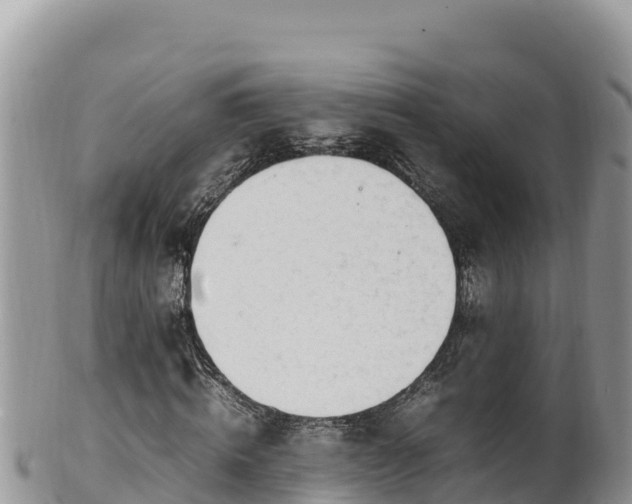 X0000102250820200808011308