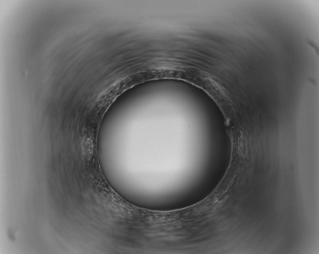 X0000102250821200808011308