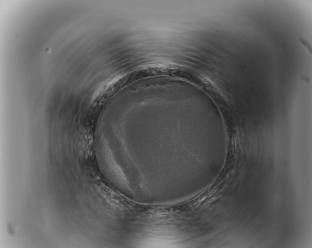 X0000102250822200808011308