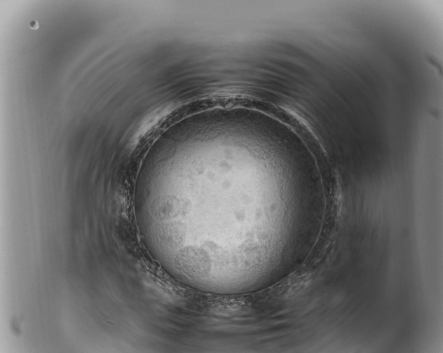 X0000102250823200808011308