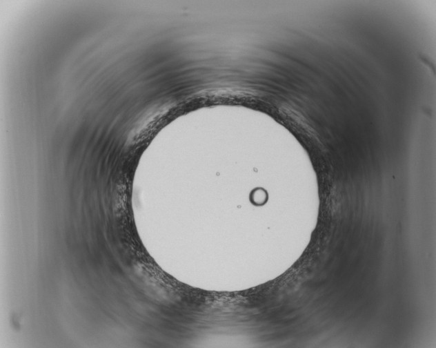 X0000102250824200808011308