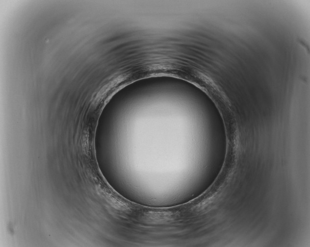 X0000102250825200808011308