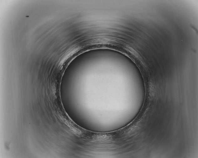 X0000102250826200808011309