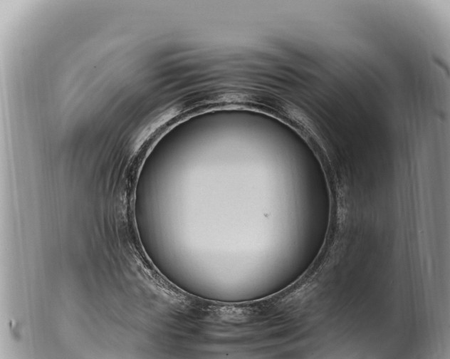 X0000102250827200808011309