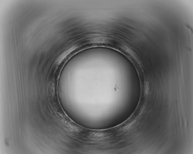 X0000102250829200808011309