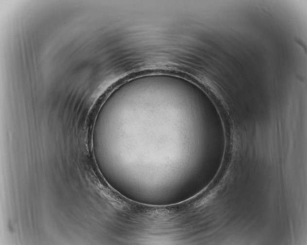 X0000102250830200808011309