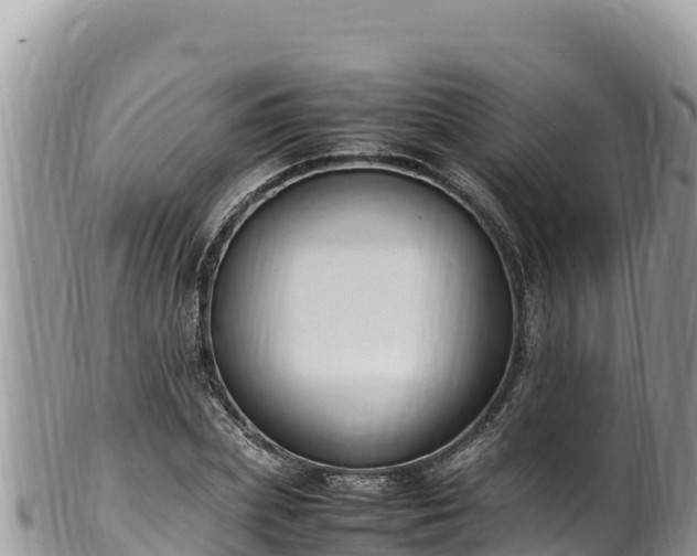 X0000102250831200808011309