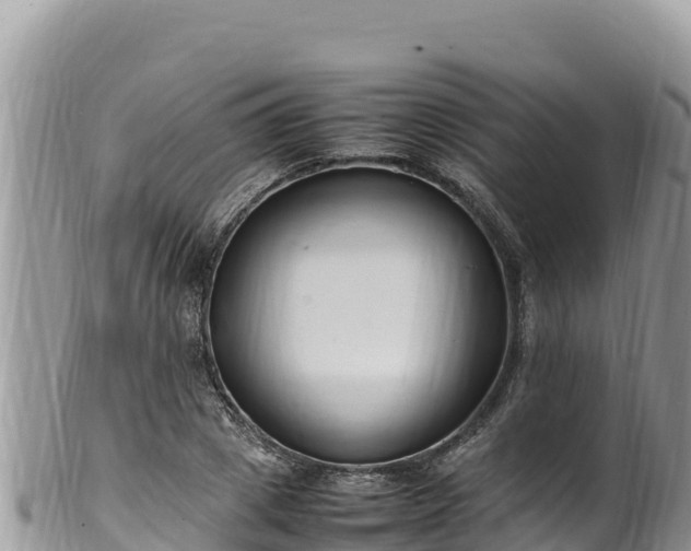 X0000102250833200808011309