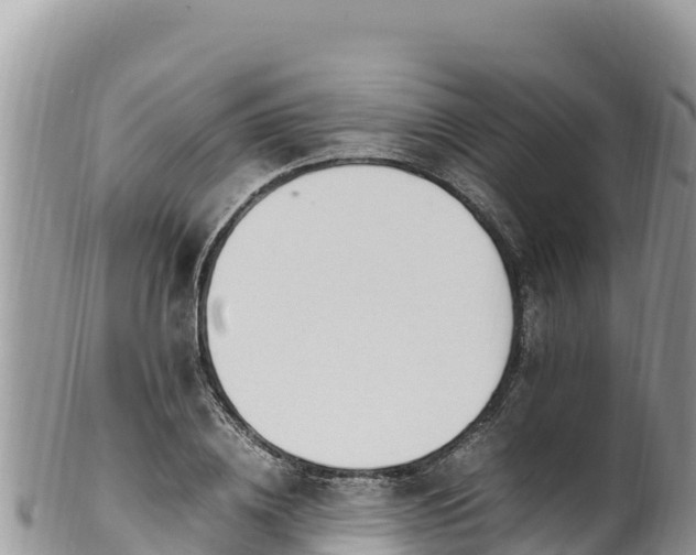 X0000102250836200808011309