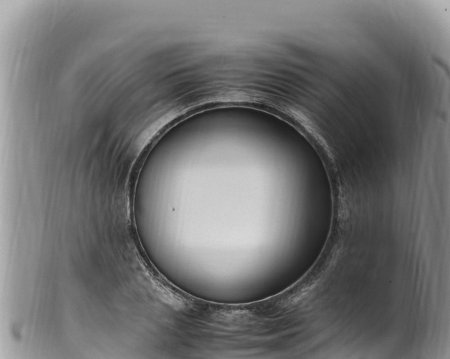 X0000102250837200808011309