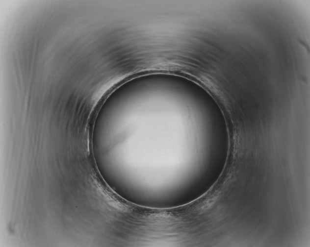 X0000102250838200808011309