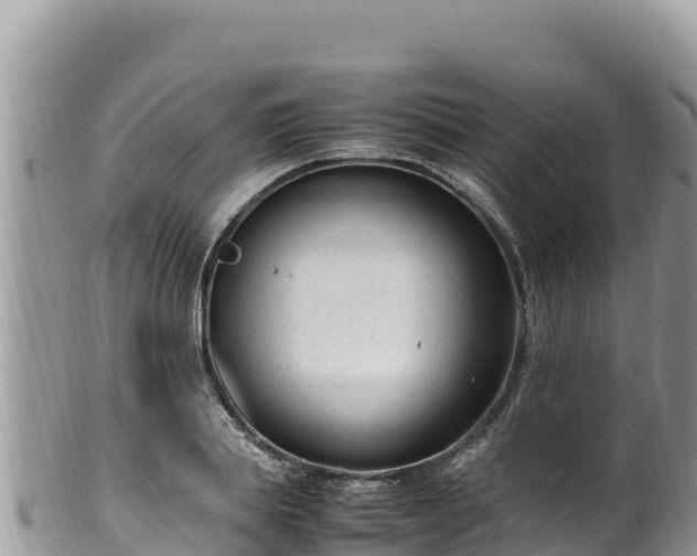 X0000102250839200808011309