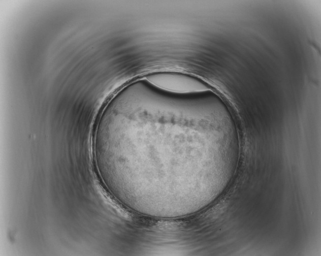 X0000102250840200808011309