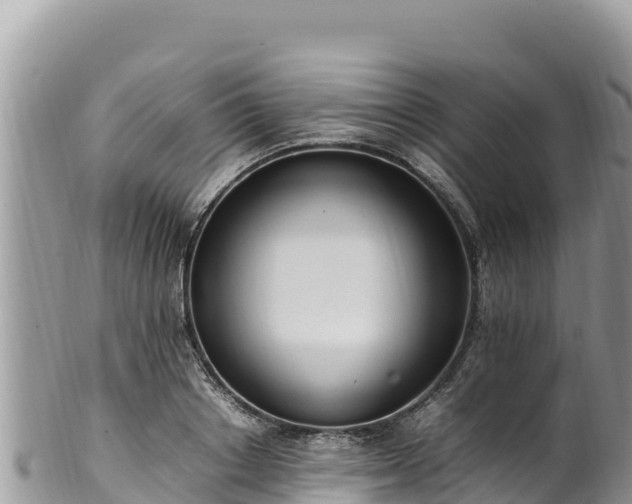 X0000102250842200808011309