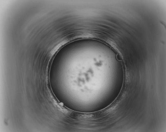 X0000102250845200808011309