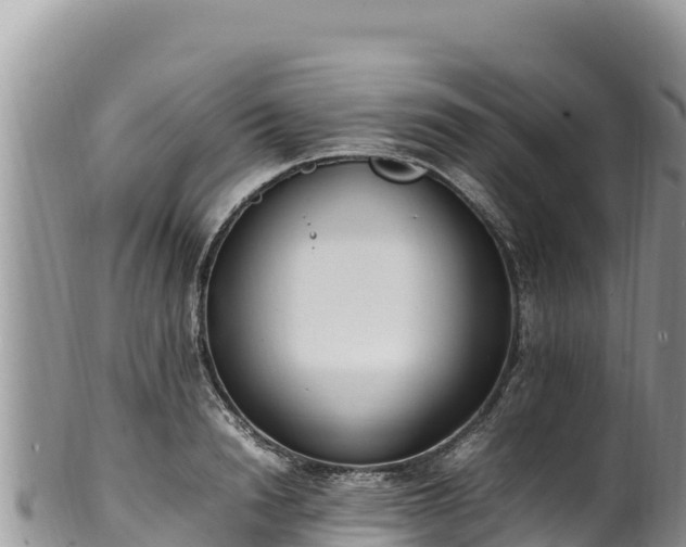 X0000102250846200808011309