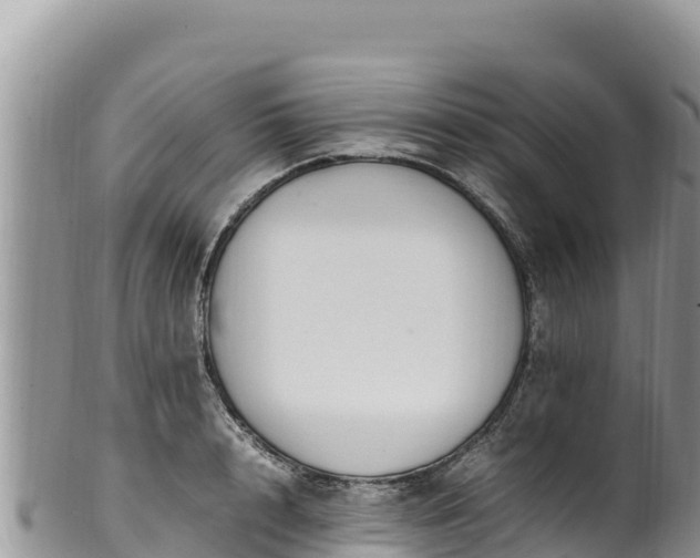 X0000102250848200808011309