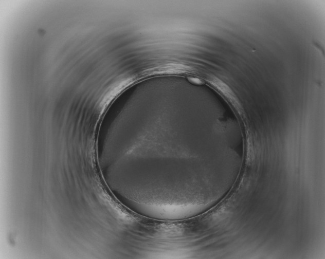 X0000102250850200808011309