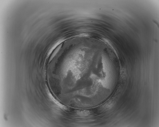 X0000102250851200808011309