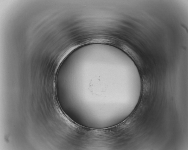 X0000102250852200808011309